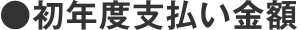 ●初年度支払い金額